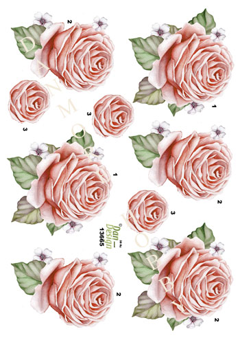 Blomster / Smuk rose / Dan-Design