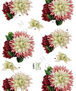Blomster / Smuk blomst / Dan-Design