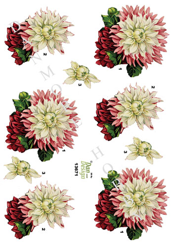 Blomster / Smuk blomst / Dan-Design