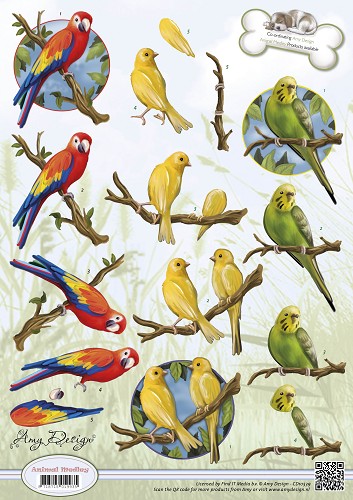 Dyr / Tropiske papegøjer / Amy design