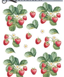 Blomster / Jordbærplanter / Quickies
